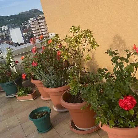Belvedere Centro *